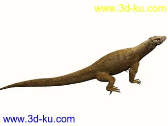 3D打印模型苦心搜集各种鱼类、两晰类（绝对精）的图片