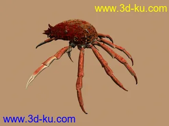3D打印模型苦心搜集各种鱼类、两晰类（绝对精）的图片
