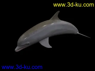 3D打印模型苦心搜集各种鱼类、两晰类（绝对精）的图片
