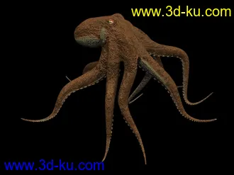 3D打印模型苦心搜集各种鱼类、两晰类（绝对精）的图片