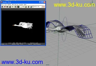 鸟模型+贴图+骨骼+绑定+动画的图片
