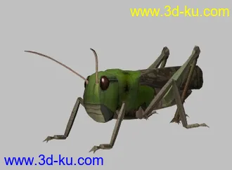 3D打印模型蚱蜢的图片