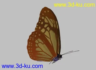 3D打印模型蝴蝶的图片