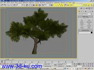 3D打印模型一棵大树！！！的图片