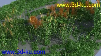 3D打印模型草与芦苇植物的图片