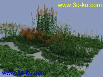 3D打印模型草与芦苇植物的图片