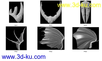 发套分解动物分解模型的图片