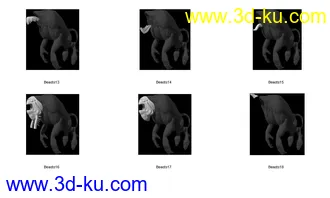 发套分解动物分解模型的图片