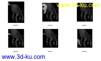 发套分解动物分解模型的图片