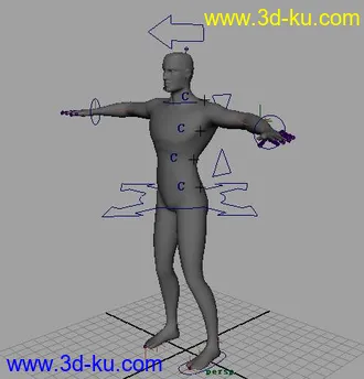 3D打印模型男人体 骨骼已绑定 ..的图片