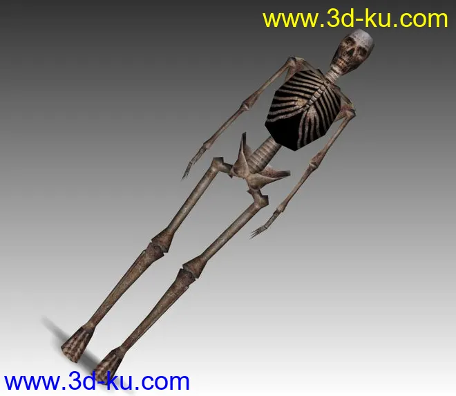带骨骼动画的骷髅模型的图片1