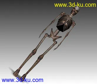 3D打印模型带骨骼动画的骷髅的图片