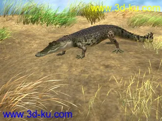 3D打印模型鳄鱼的图片