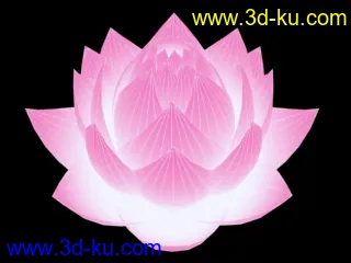 3D打印模型兰花＋荷花  很漂亮精致的呀，可以作特写的图片