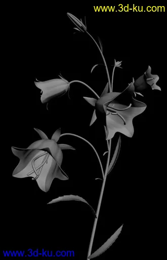 3D打印模型兰花＋荷花  很漂亮精致的呀，可以作特写的图片