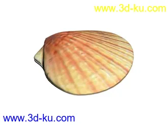 3D打印模型可爱的大扇贝！有贴图！的图片