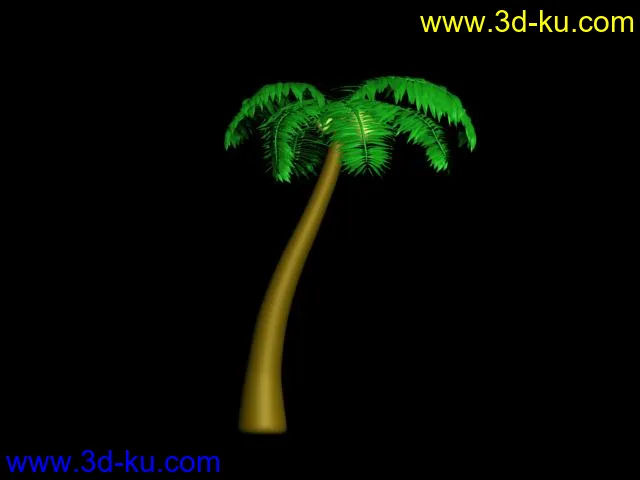 海南的椰子树！熟透的椰子谁要哦！模型的图片1