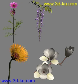 很棒的植物模型的图片