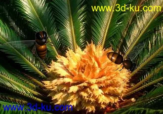 3D打印模型蜜蜂的图片