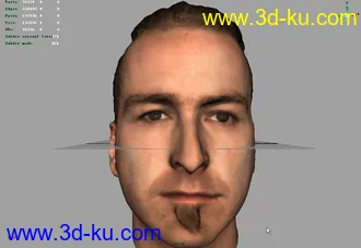 精细头部模型的图片