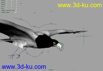 3D打印模型老鹰绑定的图片