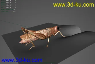 3D打印模型蚂蚱(贴图多而且大)的图片