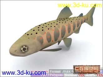 3D打印模型鱼类资源大全的图片