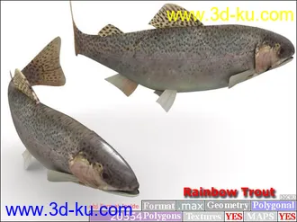 3D打印模型鱼类资源大全的图片