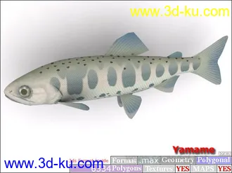 3D打印模型鱼类资源大全的图片