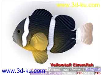 3D打印模型鱼类资源大全的图片