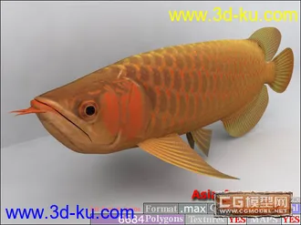 3D打印模型鱼类资源大全的图片