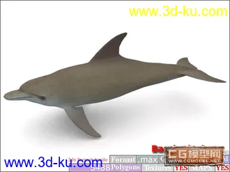 3D打印模型鱼类资源大全的图片