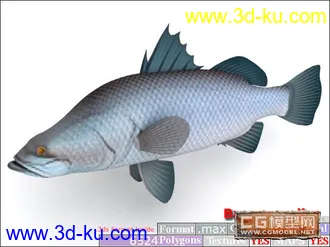3D打印模型鱼类资源大全的图片