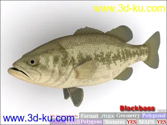 3D打印模型鱼类资源大全的图片