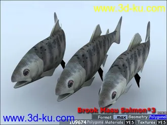 3D打印模型鱼类资源大全的图片