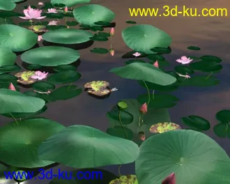 3D打印模型蜻蜓荷花的图片