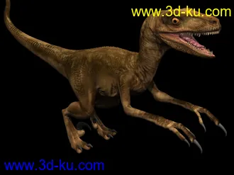 3D打印模型侏罗纪公园之速龙的图片