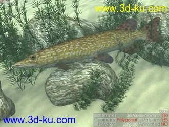 3D打印模型我也來隻魚------Part.1的图片