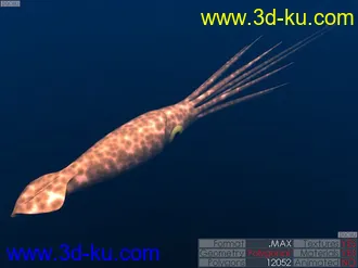 3D打印模型我也來隻魚------Part.2的图片