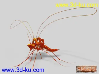 3D打印模型自己搭的机械蚊子的图片