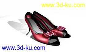 3D打印模型女试鞋1双的图片