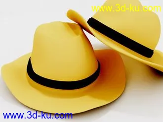 3D打印模型帽子~~MAX8的图片