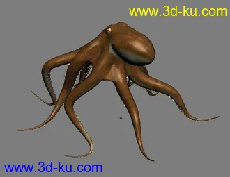 3D打印模型章鱼1只 MAX8格式的图片
