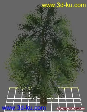 一些树模型的图片