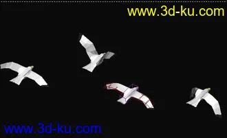 3D打印模型海鸥的图片