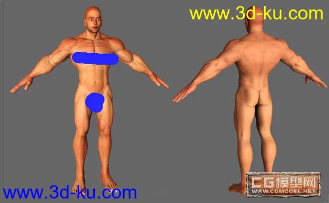 早期做的男人体(2) ，大家看看模型的图片1
