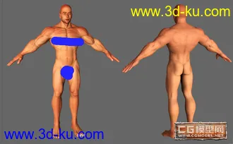 3D打印模型早期做的男人体(2) ，大家看看的图片