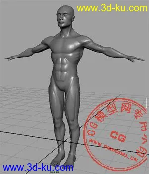 3D打印模型Maya精模－男人体的图片