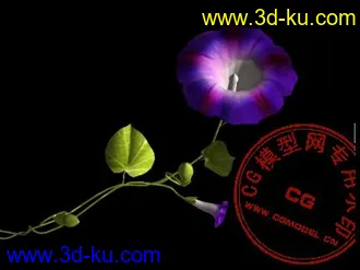 3D打印模型牵牛花的图片