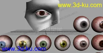 3D打印模型眼睛,MAYA的MB格式,(作者Julian的图片